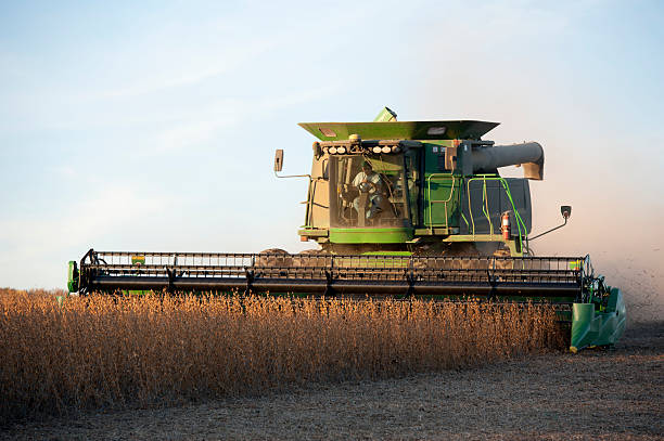 Lee más sobre el artículo Diversidad de Cultivos en Argentina: Un Pilar del Éxito Agrícola