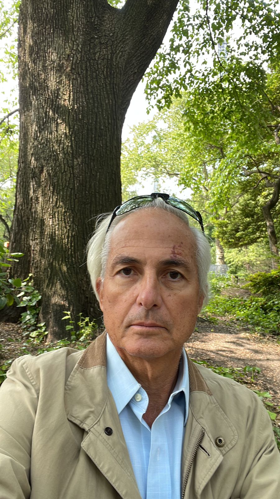 Avatar del autor de la entrada