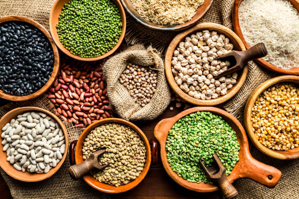 Lee más sobre el artículo Legumbres Argentinas: Del Campo Fértil al Mercado Global.