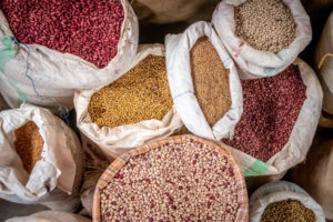 Lee más sobre el artículo Producción Agrícola Argentina: El Ascenso del Poroto