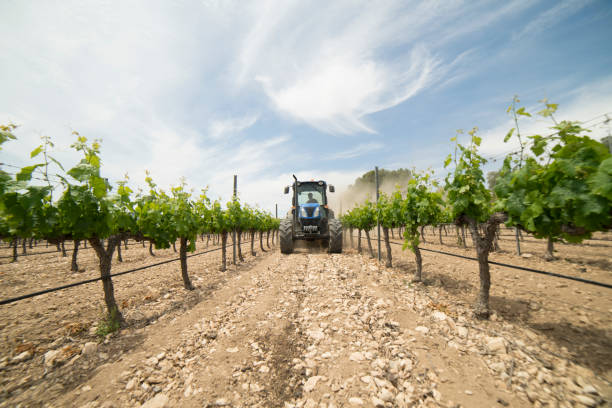 agroproducción
