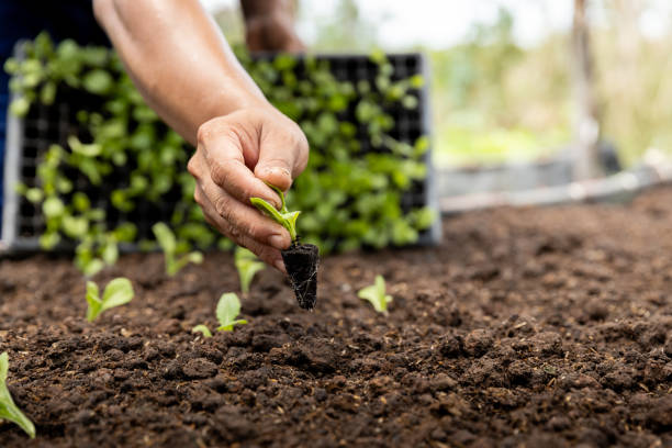agroproducción