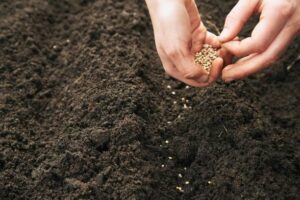Lee más sobre el artículo Agroproducción y Desarrollo Regional: La Trayectoria de Grupo Ruiz
