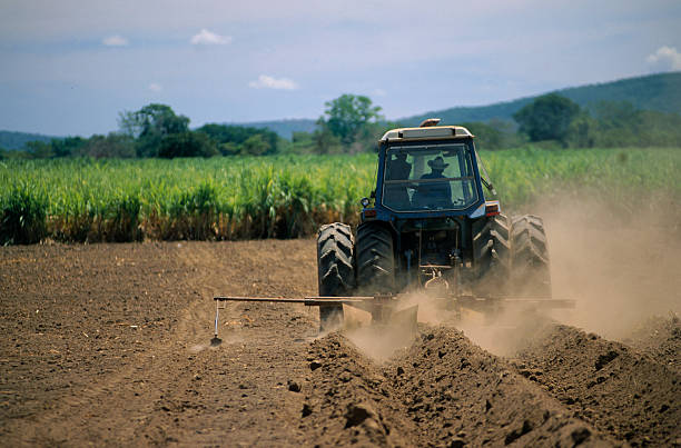 agropecuario