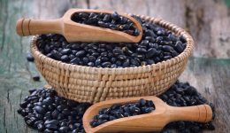 porotos poroto negro negros Grupo Ruiz Carlos Ruiz Juárez