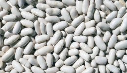 Paramérica y el Rol del Poroto Alubia en el Mercado Agropecuario