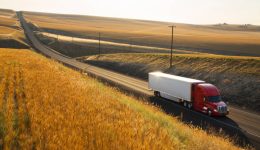 Exportaciones agrícolas Diego Ruiz Juárez