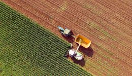 agricultura