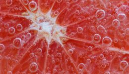 Pomelo Argentino: la Estrella del Mercado Cítrico