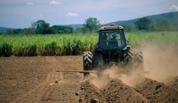 agropecuario