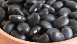 porotos negros Grupo Ruiz poroto negro Marcelo Ruiz Juárez